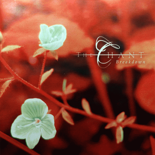 The Chant : Breakdown